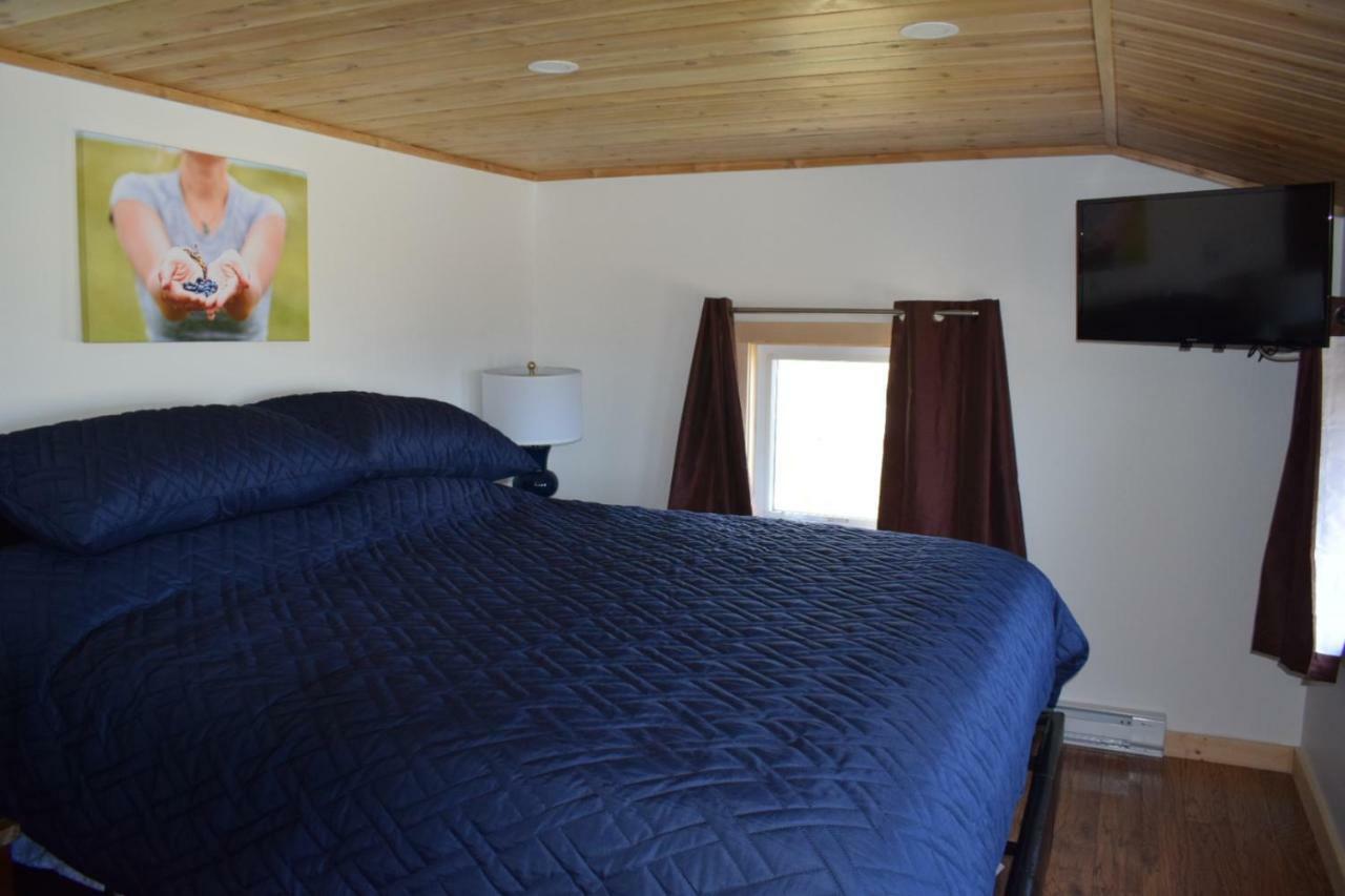 Bird Island B&B Bed And Bubble Elliston Exterior photo
